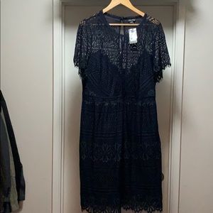 City Chic navy blue crochet dress